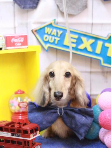 20230428そらくん